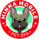 mobile grooming, grooming, groomers, miami groming